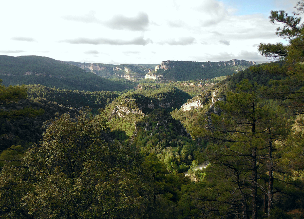 Artenreiche Wälder – im Bild: der Alto Tajo Naturpark in Spanien – erbringen mehr Dienstleistungen als artenarme. Bild: zvg, IPS