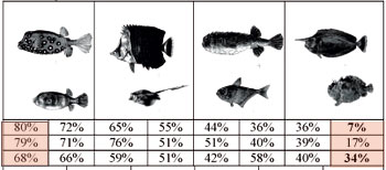 Grafik mit sechs verschiedenen Fischen und den Prozentangaben von Menschen, die die Fische als schön bezeichnet haben.