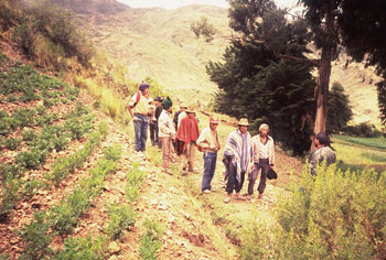 Wissensaustausch im Feld: Bauern und Agronomen in der Diskussion.