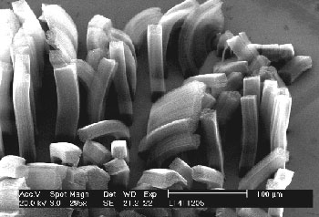 Nanoröhrchen entstehen in der Hochdruckkammer. (Bild: NFS Nanowissenschaften, Uni Basel)