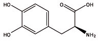 L-Dopa ist das Vorläufer-Molekül von Dopamin. (Bild: zvg)